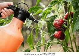 Φυτοπροστασία